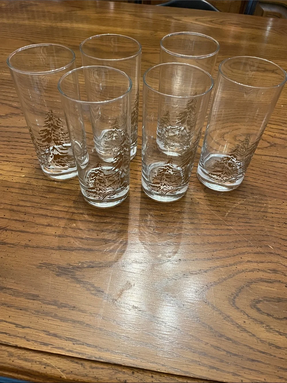 Set of 6 Golden Pines Tumblers